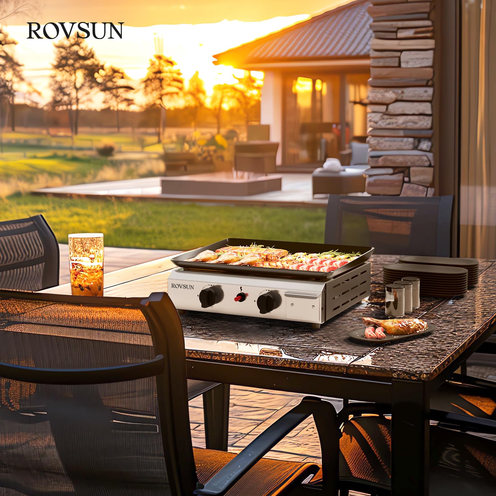 ROVSUN 2 Burner 20000 BTU Portable Propane Grill for Outdoor Camping Garden BBQ