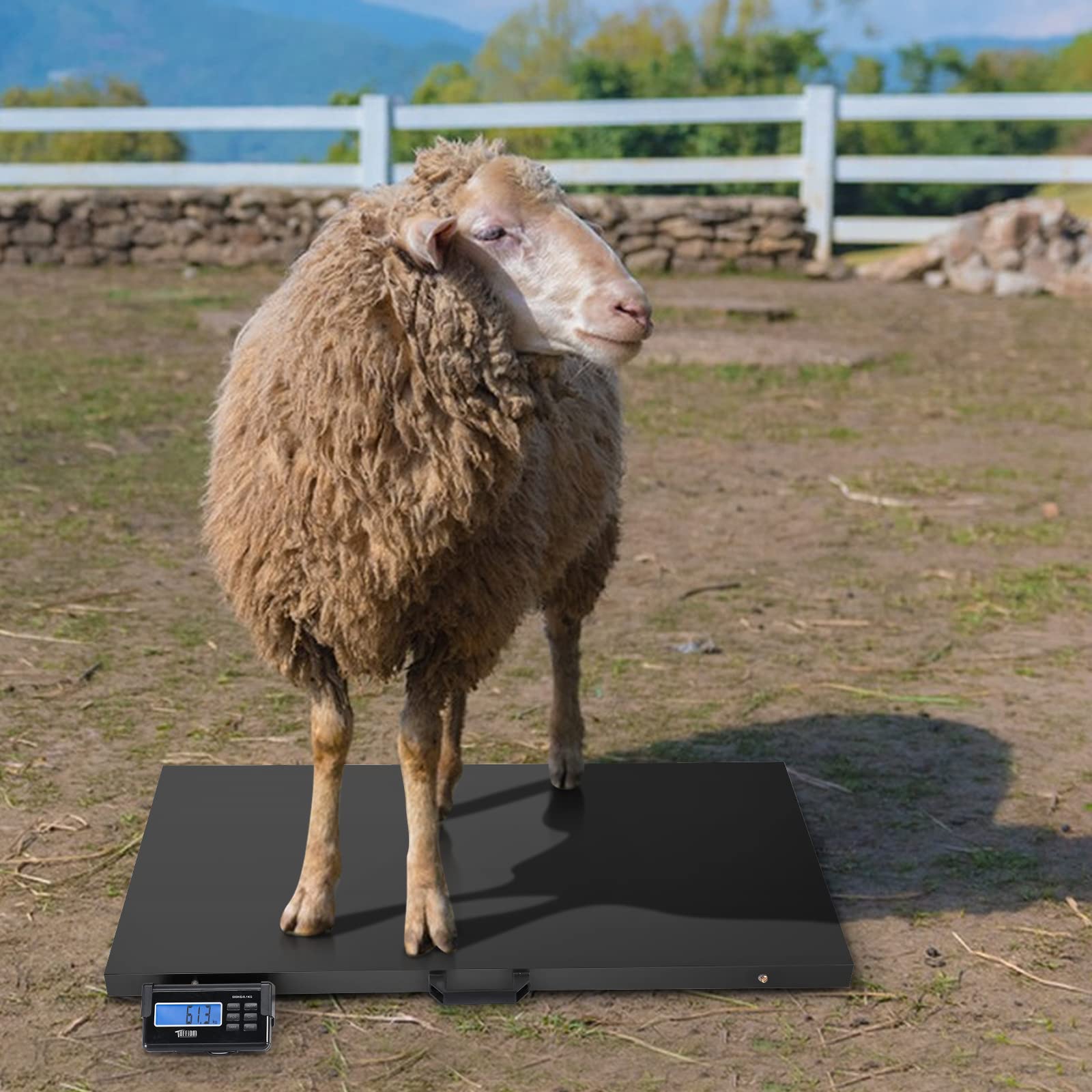 1100Lbs x 0.2Lbs Livestock Scale Electronic Platform Scale for Dog Goat Sheep Black